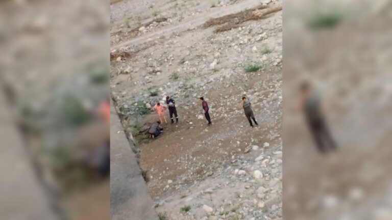 Un joven murió luego tirarse del Puente San Martín