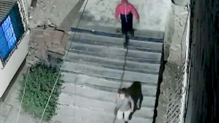 Lo asaltaron en las escaleras que unen el barrio San Martín con la Avenida Santibáñez