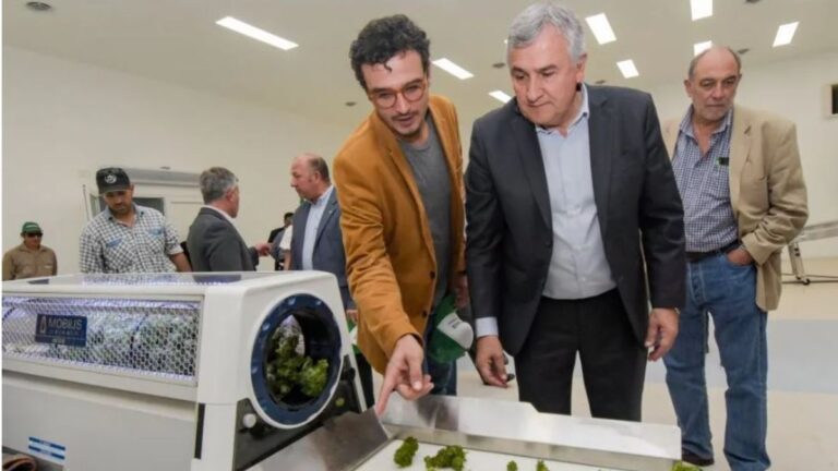 «Nos vendieron progreso, pero el pueblo sigue pobre»: Alicia Chalabe cuestiona el modelo extractivista de Jujuy