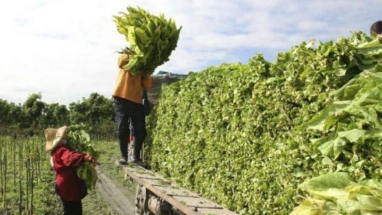 Desde Monterrico, piden fomentar el empleo y apoyo a la producción local