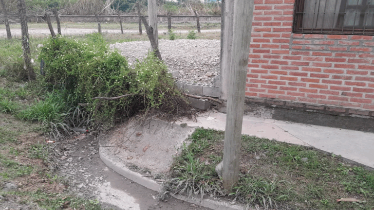 Cordón cuneta tapado y viviendas inundadas en barrio Belgrano