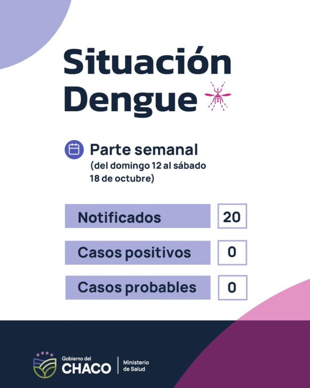 Chaco continúa sin casos de dengue positivos en lo que va del año