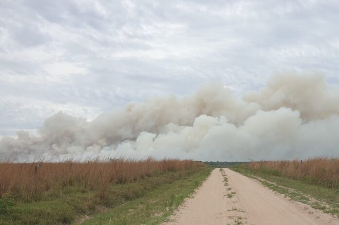 Día Internacional contra el Cambio Climático: acciones que se pueden promover