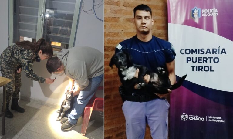 Puerto Tirol: rescataron a un cachorro víctima de maltrato
