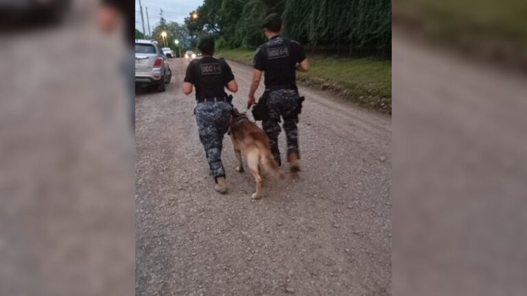 Hallaron el cuerpo de un hombre en inmediaciones del predio Jaque de San Pedro