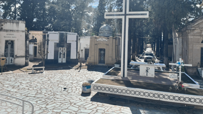 Tránsito y transporte: operativo especial por el Día de los Fieles Difuntos