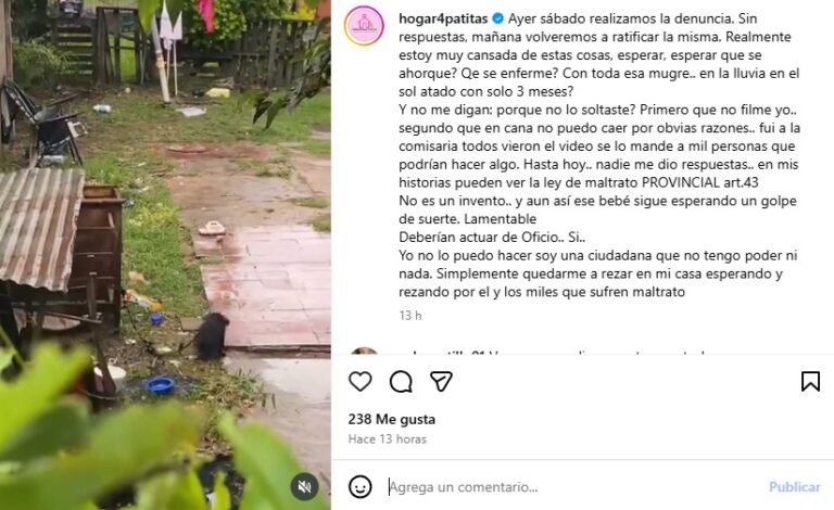 Fontana: denuncian maltrato a un cachorro adoptado hace menos de un mes