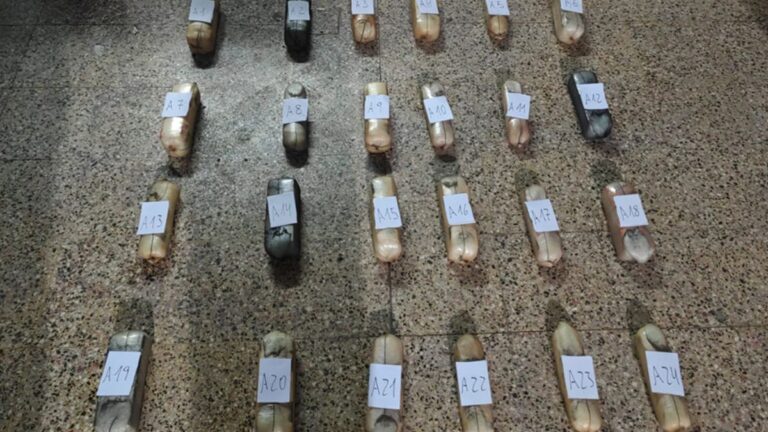 Imputan a una pareja por organizar y financiar el transporte de más de 48 kilos de cocaína