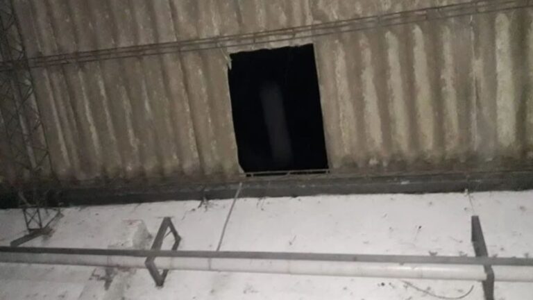 Ingresó por el techo de una distribuidora para robar celulares y una computadora