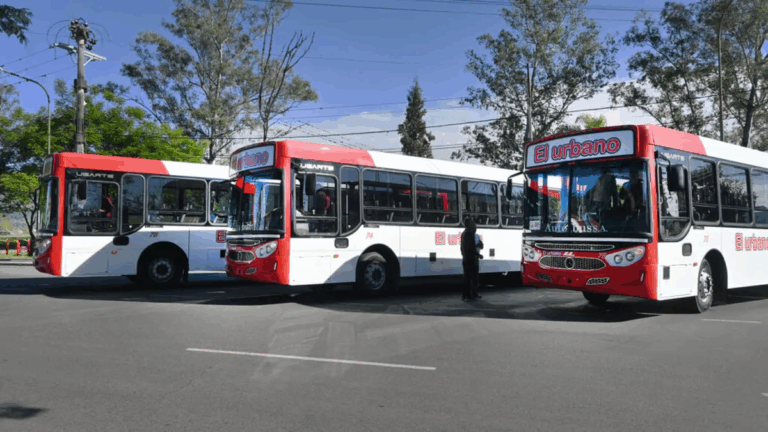 Licitación de Transporte: cerró el proceso de participación con 35 ponencias
