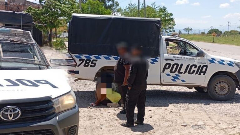 Palpalá: joven con antecedentes violentó la reja de un comercio para robar