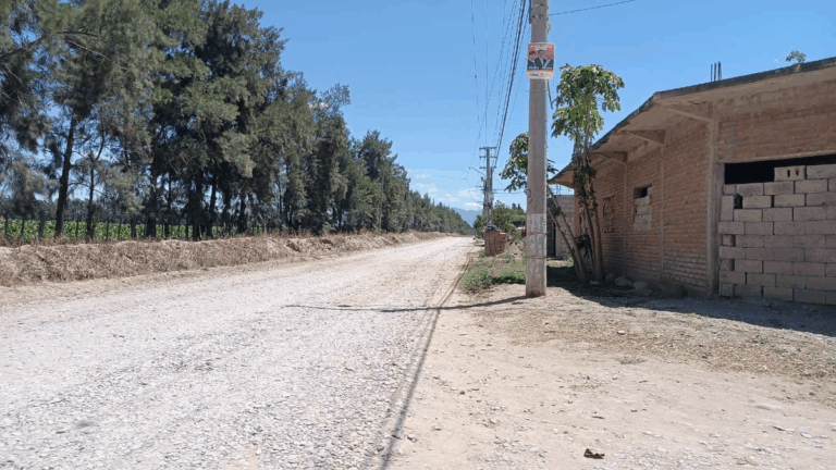 Servicios deficientes e inseguridad, problemáticas de La Ovejería