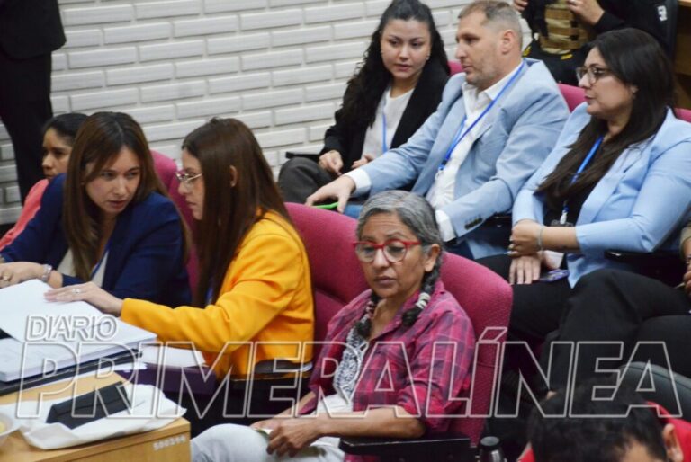 Marcela Acuña dijo que luchará para que el Poder Judicial sea intervenido en la provincia