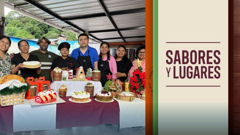 Sabores y Lugares: Tradición, hospedaje y espíritu navideño en Casa Roma