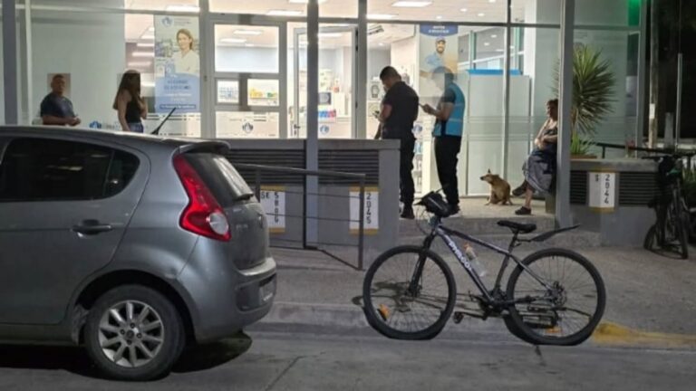 Robaron una farmacia y a los dos días quisieron cometer otro ilícito en el mismo lugar