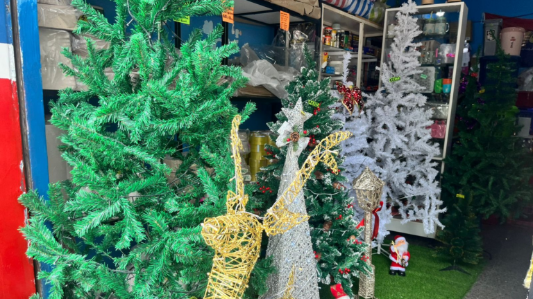 Ventas por Navidad en Jujuy: por ahora, poco movimiento