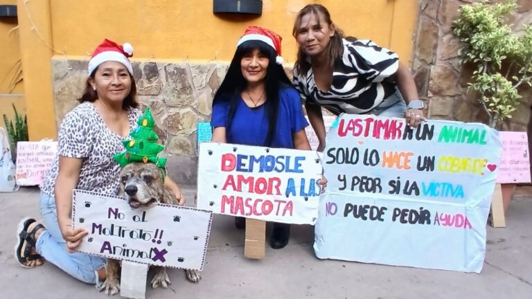 Piden a la ciudadanía comprometerse y denunciar el maltrato animal en Jujuy