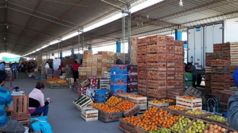 Pedido de informe a la Municipalidad de Perico por la concesión de la Feria Mayorista