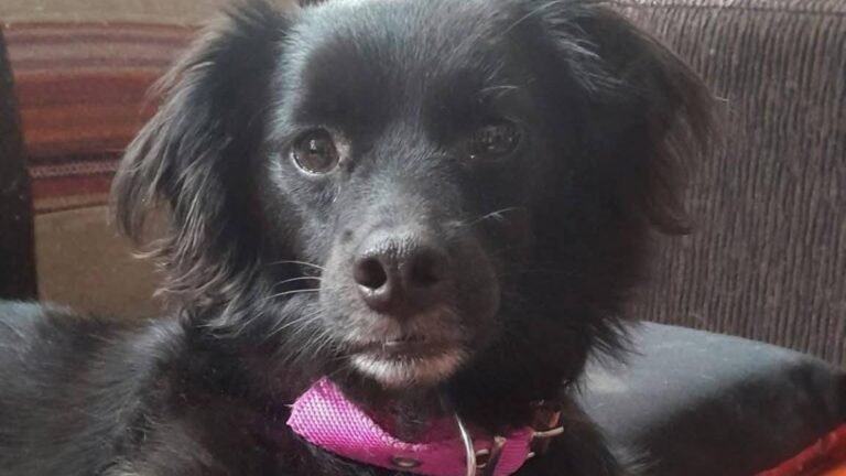 Buscan a «Tuka» en barrio Malvinas