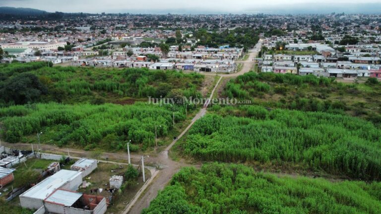 «Alto Comedero ya es otra ciudad y necesita su propia organización política»