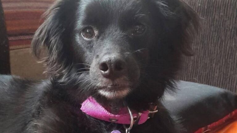 Buscan a «Tuka» en barrio Malvinas