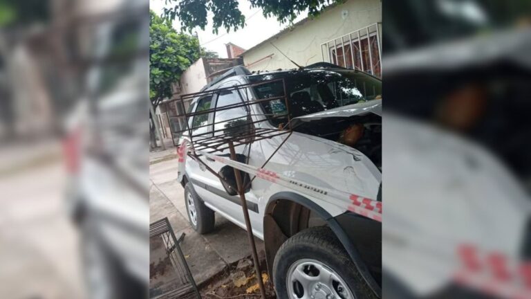 Libertador: conductor ebrio chocó un árbol, postes y quiso escapar