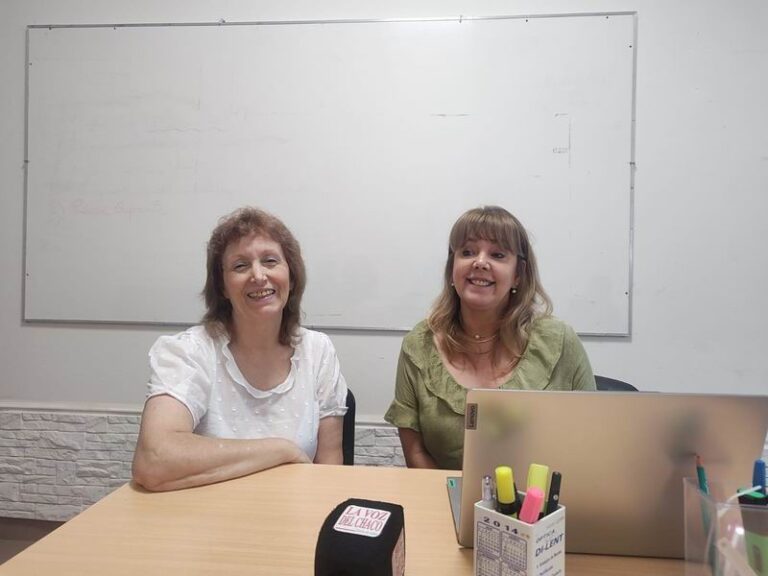 El Colegio de Psicólogos del Chaco puso el foco en la demanda sostenida y el acceso