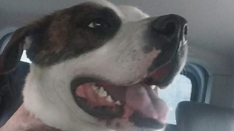 Palpalá: sigue la búsqueda de «Jorgelina»