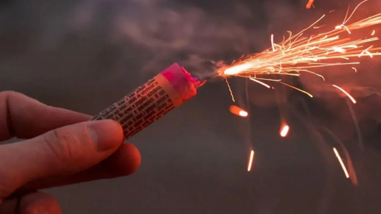 Crece el pedido para cumplir con «pirotecnia sonora cero» en Año Nuevo