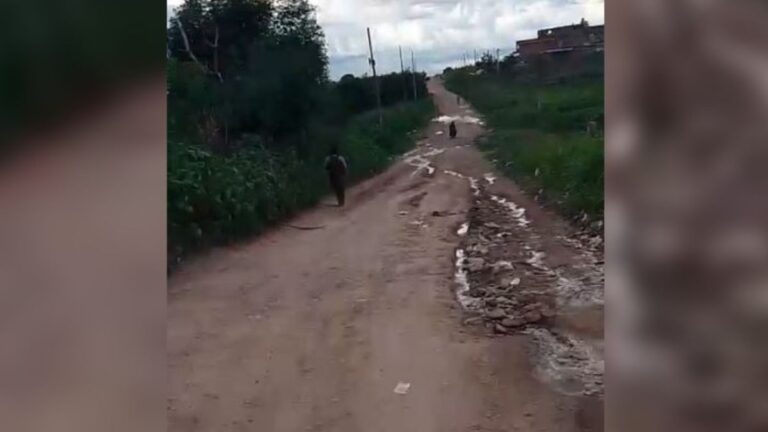 Entre las lluvias y el abandono, las calles de Alto Comedero quedan destruidas