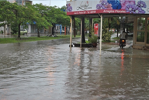 Tras un diciembre atípico, especialista anticipó un verano con lluvias normales