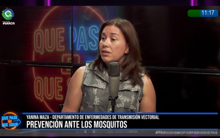 Proliferación de mosquitos: piden a la comunidad eliminar los reservorios de agua de las casas