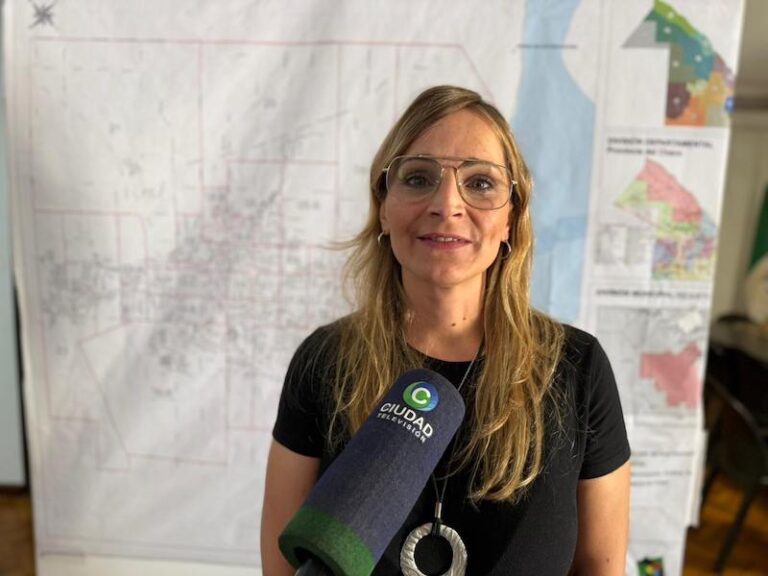 Cayó el proyecto para regular plataformas de transporte: No hay exigencias para empresas que se quedan con recursos del trabajo local