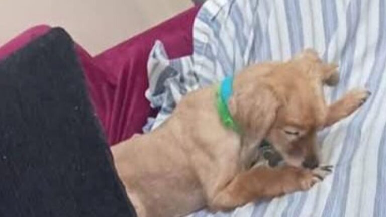 «Camila» es buscada en barrio Coronel Arias