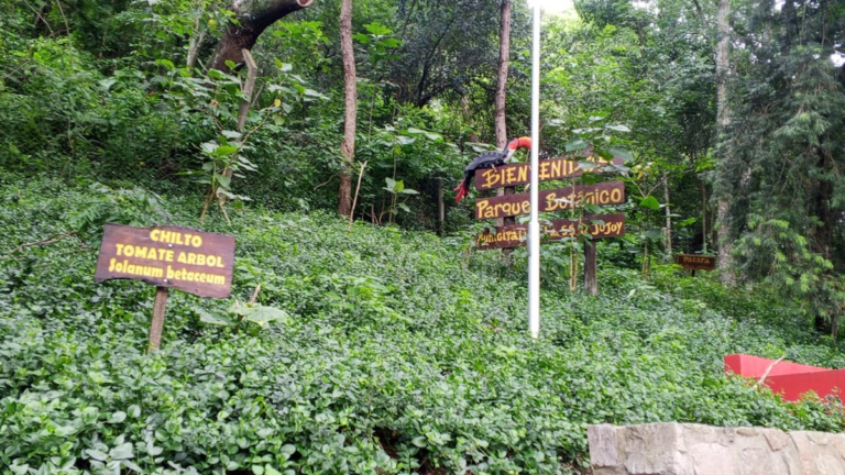Parque Botánico, una opción ideal para el verano en la capital jujeña