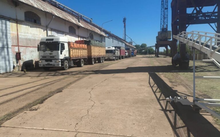 150 toneladas de semillas de girasol se descargaron en el Puerto de Barranqueras