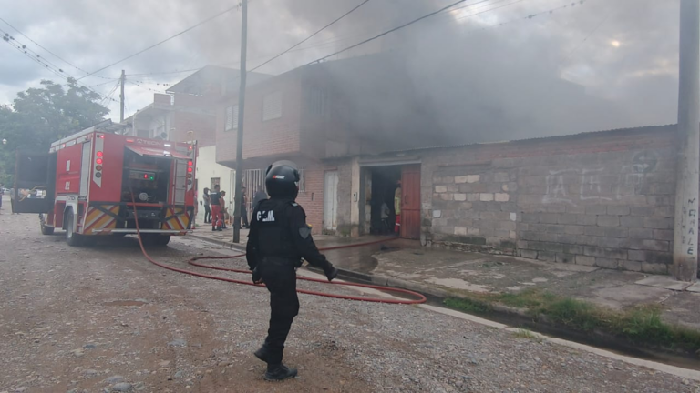 Murieron 6 perros y 1 gato en el incendio del barrio San Martín