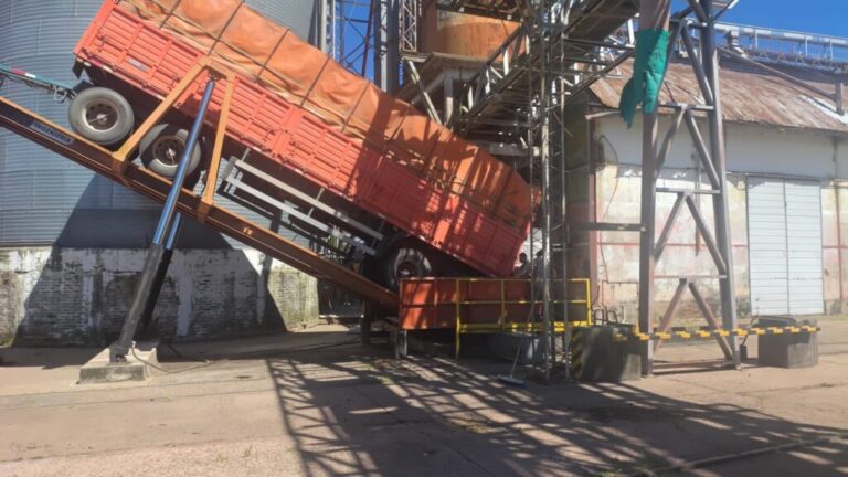 El Puerto de Barranqueras inició el año con la recepción de más de 150 toneladas de semillas de girasol