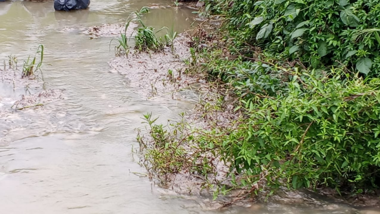 Vecinos conviven con un río de líquidos cloacales en barrio Malvinas