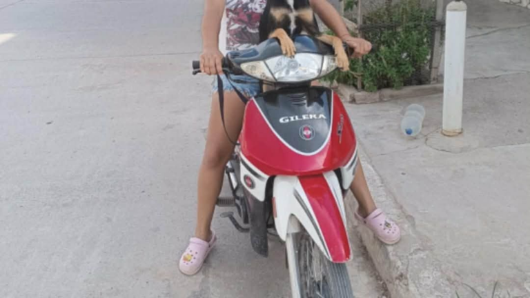 Preocupa el robo de motos en Perico: el relato de una damnificada