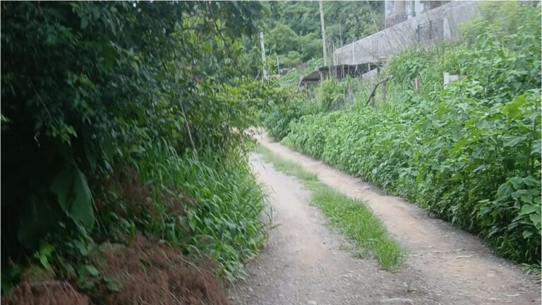 Villa Jardín de Reyes, otro sector que padece el abandono