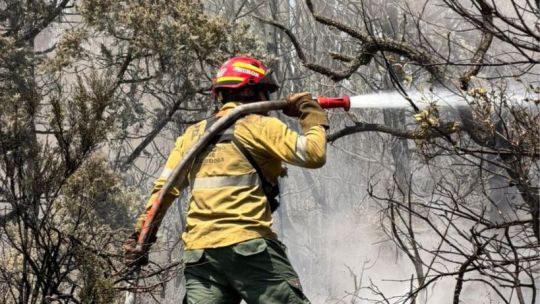 Incendios en Chubut: bomberos cordobeses ya trabajan en la lucha contra el fuego