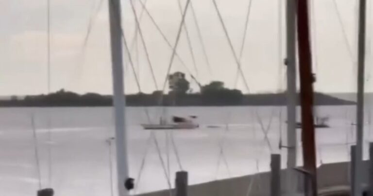 Rescataron a una pareja que se desvaneció en un velero mientras navegaban por Puerto Madero