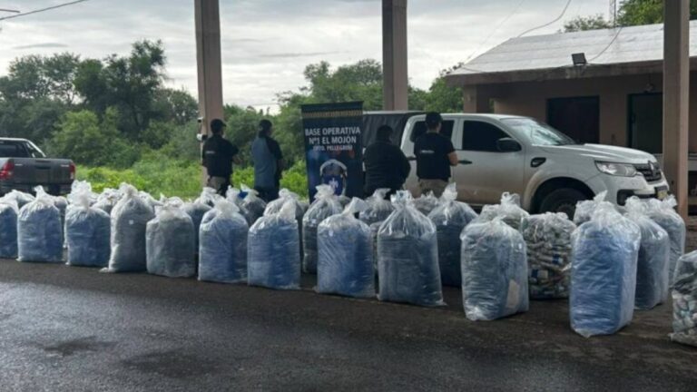 Un jujeño fue detenido en Santiago del Estero con casi una tonelada de hojas de coca