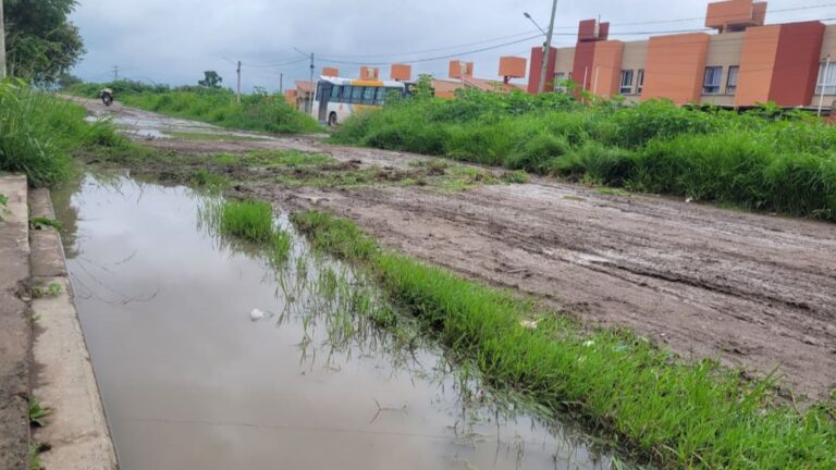 Vecinos de las 47 Hectáreas denuncian calles intransitables y falta de servicios en Alto Comedero