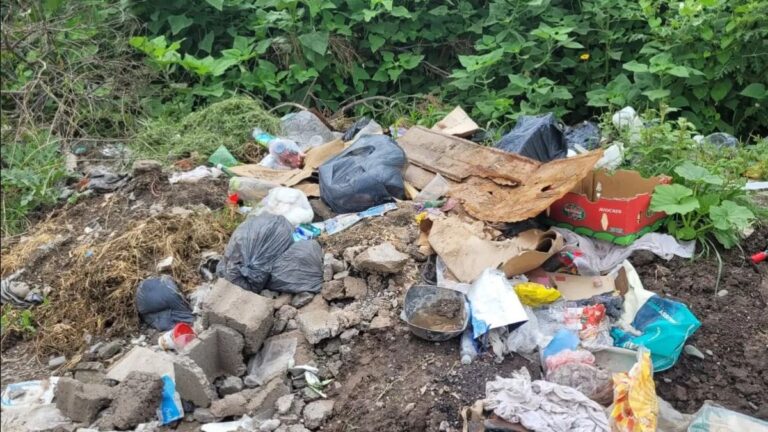 Vecinos de 47 Hectáreas denuncian graves problemas con la recolección de residuos