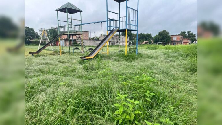 Concejal Palpaleño denuncia abandono de la ciudad y falta de gestión municipal