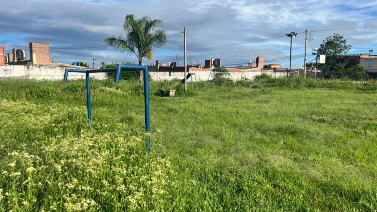 Vecinos denuncian abandono municipal: plazas cubiertas de malezas y sin iluminación