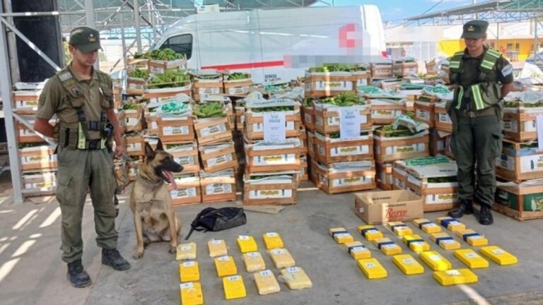 Búsqueda nacional de un camionero jujeño prófugo tras el secuestro de 64 kg. de cocaína