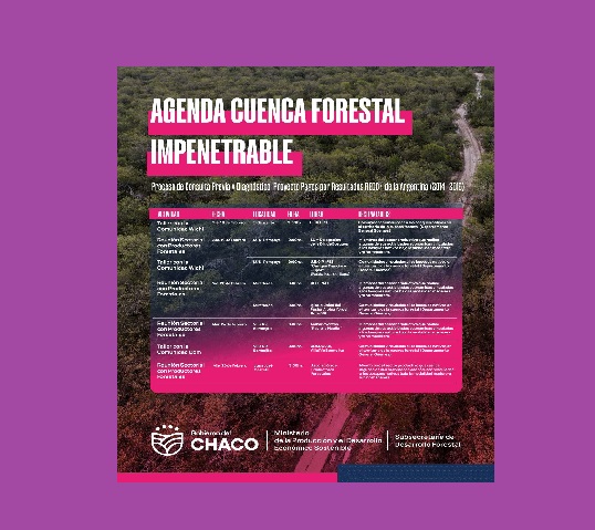 Chaco implementa el proceso de consulta y diagnóstico para el Plan de Gestión de la Cuenca Forestal Impenetrable